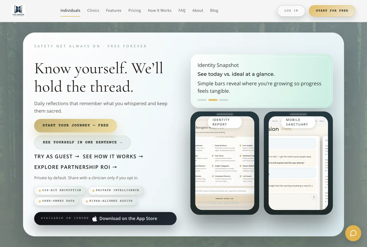 The Mirror — live product screenshot